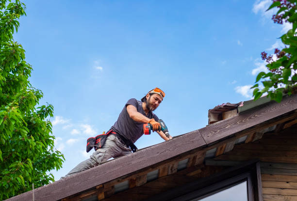 Best Gutter Installation and Repair  in Chickasaw, AL