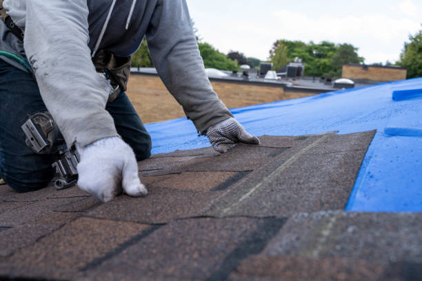 Best Roof Ventilation Installation  in Chickasaw, AL