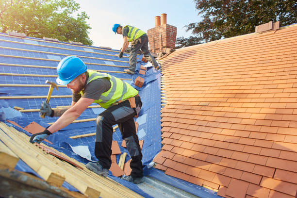 Best Solar Panel Roofing Installation  in Chickasaw, AL